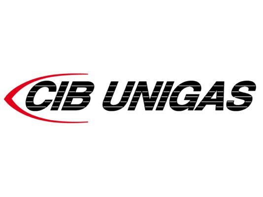голова сгорания cib unigas, 3060161