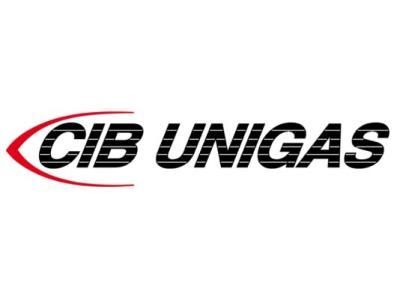 Голова сгорания CIB Unigas, 3060161