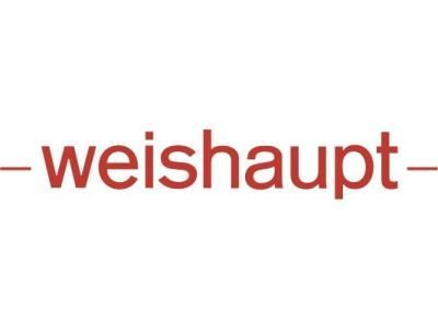 Стопорная шайба Weishaupt, 490003