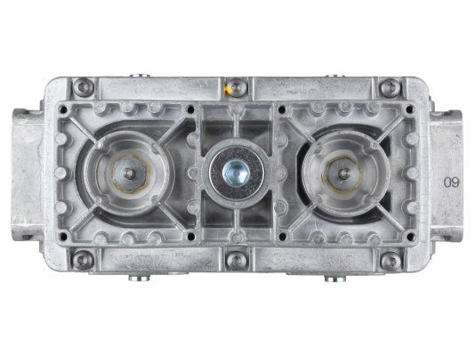 газовый электромагнитный клапан ecoflam vgd20.5011