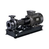 Консольный насос Grundfos NK100-160/176 A2-F-A-E-BAQE 37 кВт 2900/min (98744696)