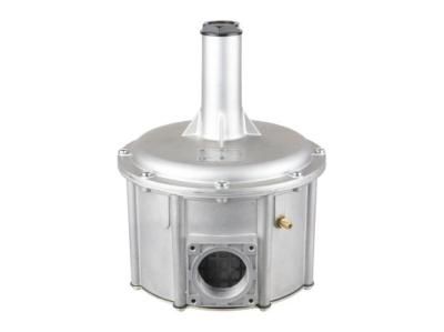 Газовый регулятор Giuliani Anello FGDR50