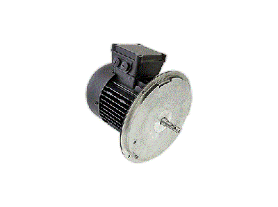 Электродвигатель Weishaupt W-D90/110-2/1K5
